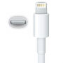 Szinkronizáló és töltő kábel USB-A / Lightning - iPhone / iPad / iPod / AirPods - 2 m - fehér
