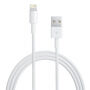 Szinkronizáló és töltő kábel USB-A / Lightning - iPhone / iPad / iPod / AirPods - 2 m - fehér