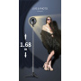 Q05s Bluetooth szelfi stick állvánnyal és integrált gyűrűs lámpával iPhone-hoz - fekete
